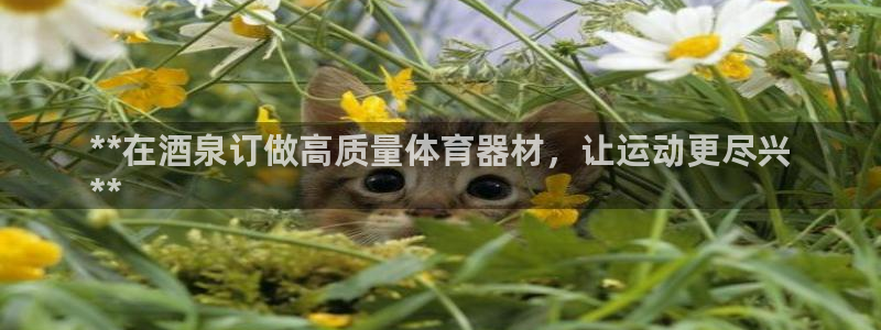 极悦娱乐公司最新招聘信息网：**在酒泉订做高质量体育