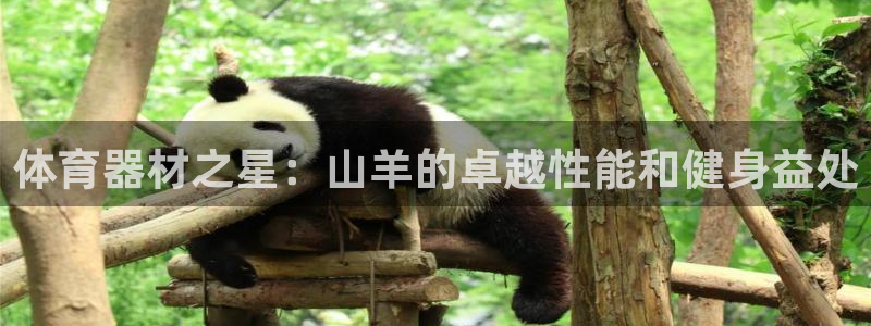 极悦娱乐官网客服联系方式电话：体育器材之星：山羊的卓