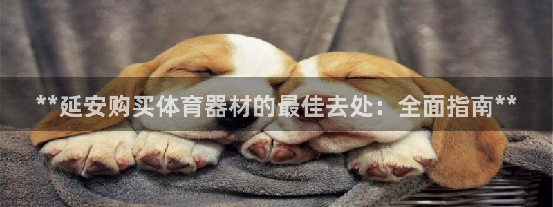 极悦平台注册用户名格式不正确：**延安购买体育器材的