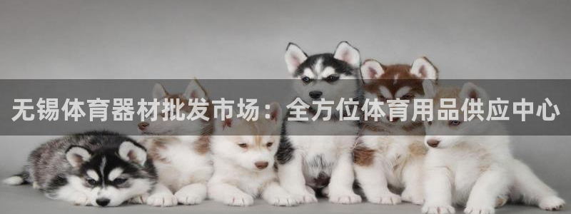 极悦官方网站app下载安装：无锡体育器材批发市场：全