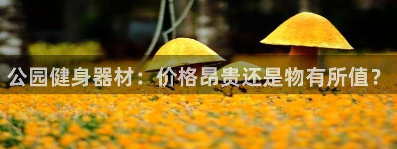 极悦平台登录入口注册：公园健身器材：价格昂贵还是物有