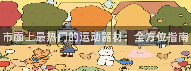极悦平台代理电话：市面上最热门的运动器材：全方位指南