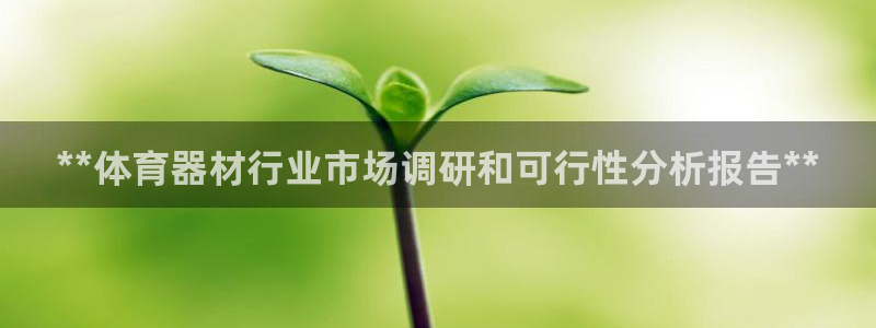 极悦平台用户评价怎么样：**体育器材行业市场调研和可