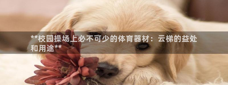 极悦平台是干嘛的：**校园操场上必不可少的体育器材：
