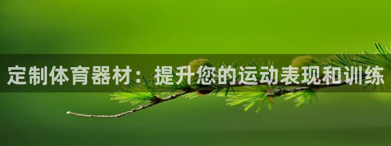 极悦娱乐创始人背景故事是什么：定制体育器材：提升您的