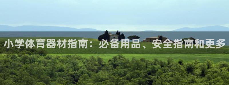 极悦平台股东：小学体育器材指南：必备用品、安全指南和