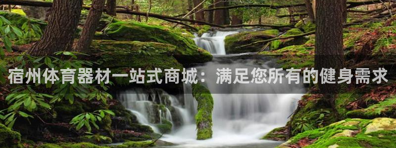 极悦平台登录7.0.2.4手机版下载安装：宿州体育器