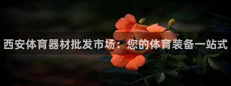 极悦平台注册用户名格式是什么：西安体育器材批发市场：