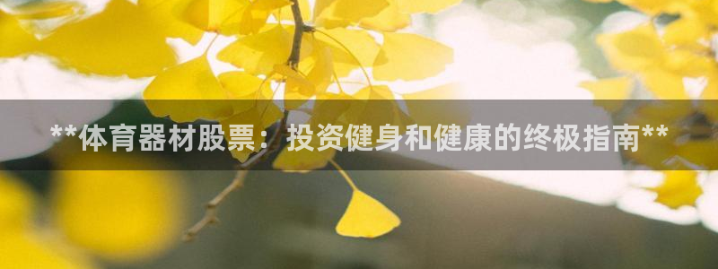 极悦娱乐会被骗吗：**体育器材股票：投资健身和健康的