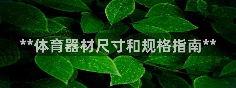 极悦娱乐官网客服联系方式是什么：**体育器材尺寸和规