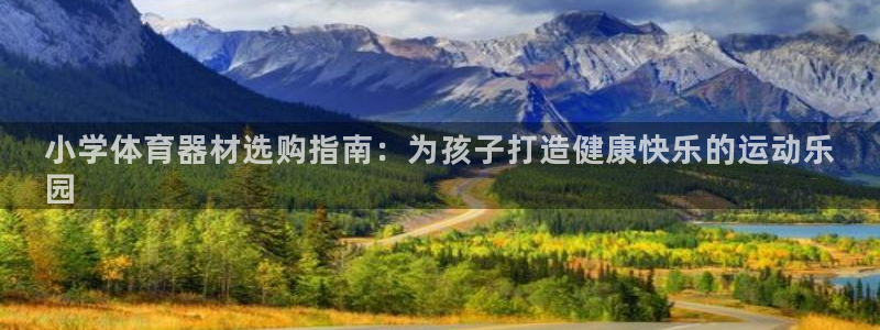 极悦平台登录入口注册账号：小学体育器材选购指南：为孩