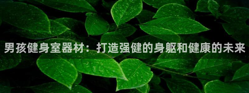 极悦平台有风险吗：男孩健身室器材：打造强健的身躯和健