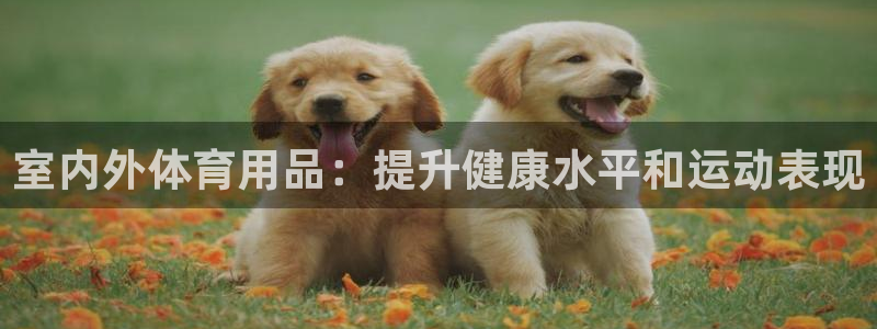 极悦平台的注册流程及注意事项是什么：室内外体育用品：