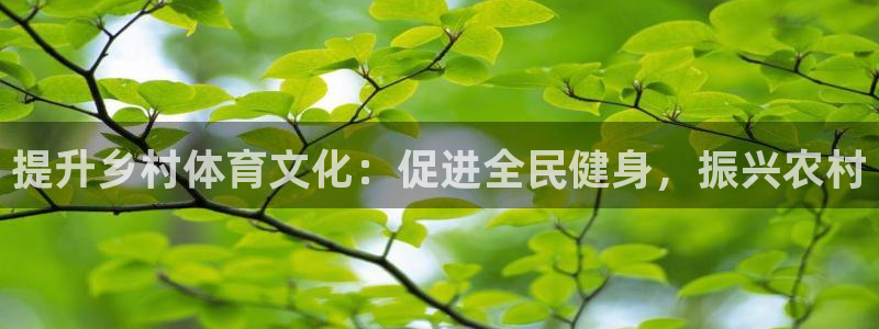 极悦平台使用教程图片：提升乡村体育文化：促进全民健身