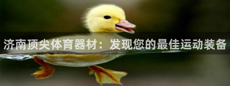 加盟极悦教育怎么样：济南顶尖体育器材：发现您的最佳运