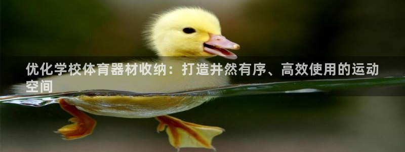 极悦娱乐代理：优化学校体育器材收纳：打造井然有序、高