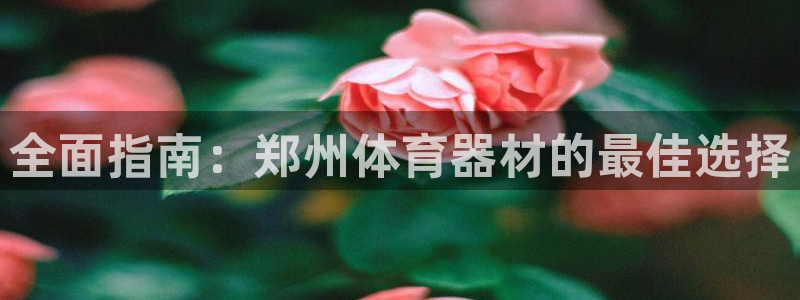 极悦娱乐代理人是谁：全面指南：郑州体育器材的最佳选择