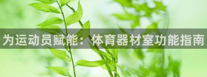 极悦平台客服团队：为运动员赋能：体育器材室功能指南