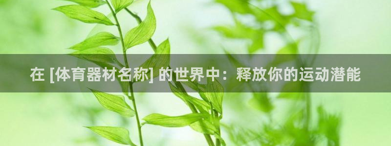 极悦平台官网登录网址是什么：在 [体育器材名称] 的