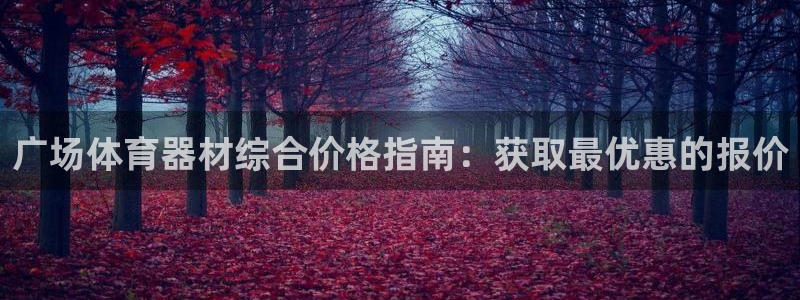 极悦娱乐app官方版本更新内容在哪：广场体育器材综合