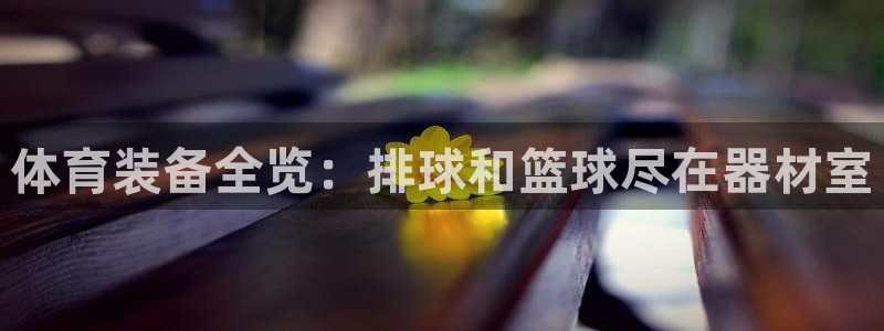 极悦平台网址皮皮虾下载：体育装备全览：排球和篮球尽在