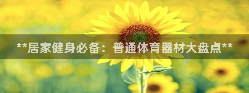 极悦娱乐官方网站首页：**居家健身必备：普通体育器材
