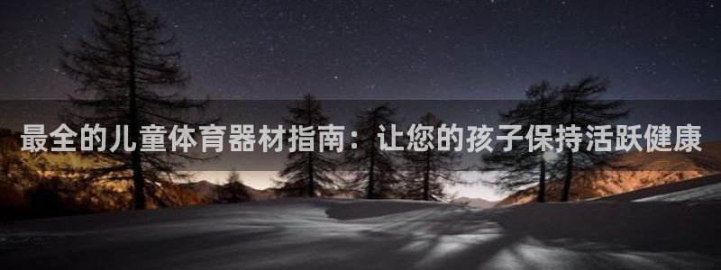 极悦平台官方网站首页：最全的儿童体育器材指南：让您的