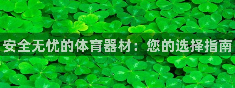 极悦平台注册流程详解：安全无忧的体育器材：您的选择指