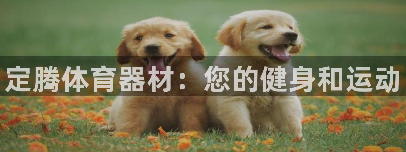 极悦娱乐股东名单：定腾体育器材：您的健身和运动