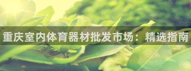 极悦娱乐管理最建议买吗：重庆室内体育器材批发市场：精