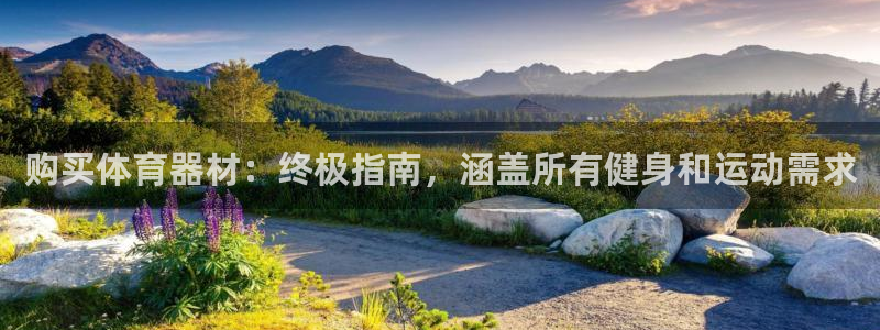 极悦娱乐挂机赚钱是真的吗：购买体育器材：终极指南，涵