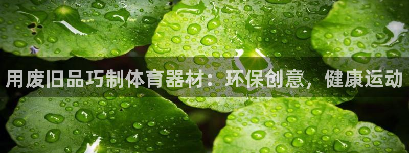 极悦平台股东：用废旧品巧制体育器材：环保创意，健康运