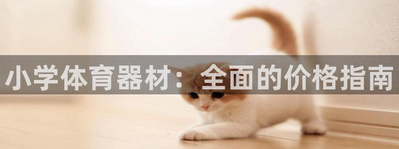 极悦娱乐会被骗吗：小学体育器材：全面的价格指南