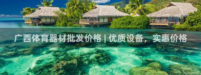 极悦平台注册官网：广西体育器材批发价格 | 优质设备