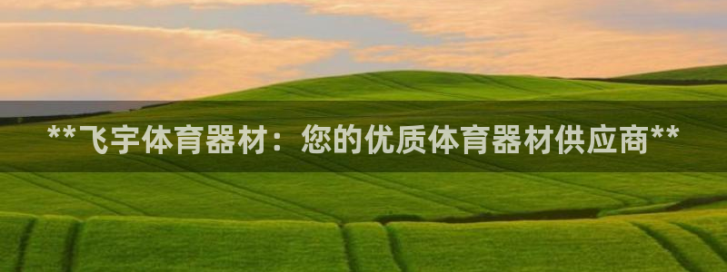 极悦平台平台注册方法与步骤是什么：**飞宇体育器材：