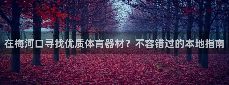 极悦平台是什么公司：在梅河口寻找优质体育器材？不容错