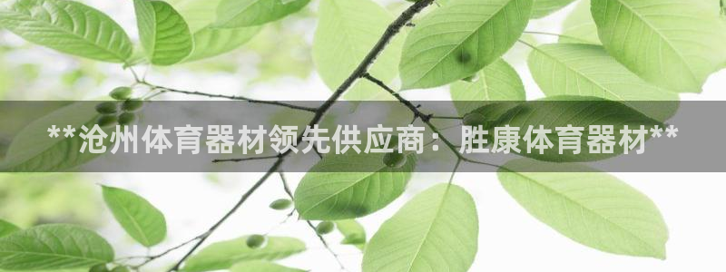 极悦娱乐会被骗吗知乎小说：**沧州体育器材领先供应商