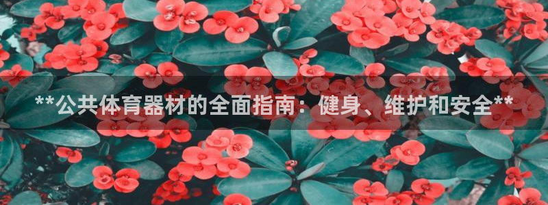 极悦平台客服团队：**公共体育器材的全面指南：健身、