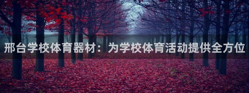 极悦平台下载安装：邢台学校体育器材：为学校体育活动提