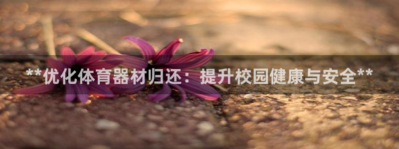 极悦平台官方网站首页入口：**优化体育器材归还：提升