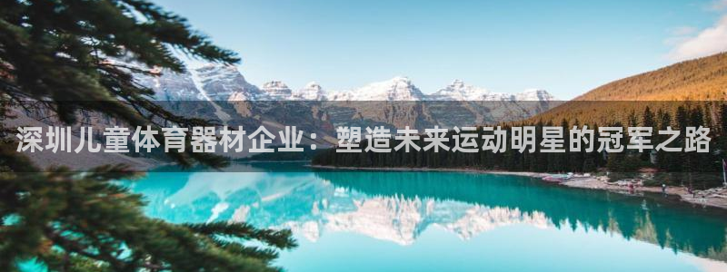 极悦平台登录不进去怎么回事儿：深圳儿童体育器材企业：