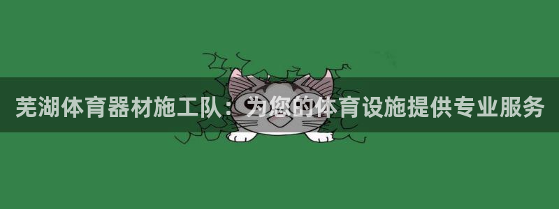 极悦平台网址皮皮虾下载：芜湖体育器材施工队：为您的体