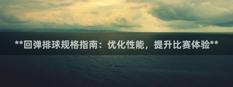 极悦平台登录最新版本更新内容是什么：**回弹排球规格
