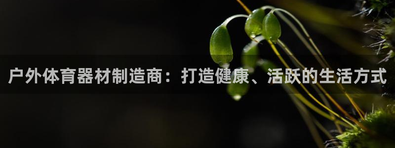 极悦娱乐官网最新版本更新内容：户外体育器材制造商：打