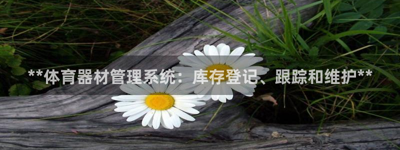 极悦平台：**体育器材管理系统：库存登记、跟踪和维护