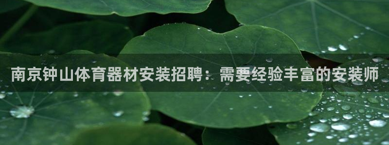 极悦平台创始人背景故事视频：南京钟山体育器材安装招聘