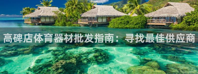 极悦平台app二维码怎么弄的：高碑店体育器材批发指南
