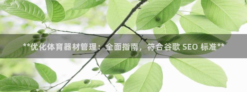 极悦娱乐股东：**优化体育器材管理：全面指南，符合谷