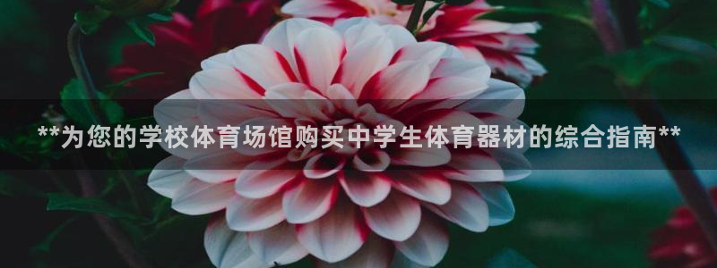 舒客极悦牙膏：**为您的学校体育场馆购买中学生体育器