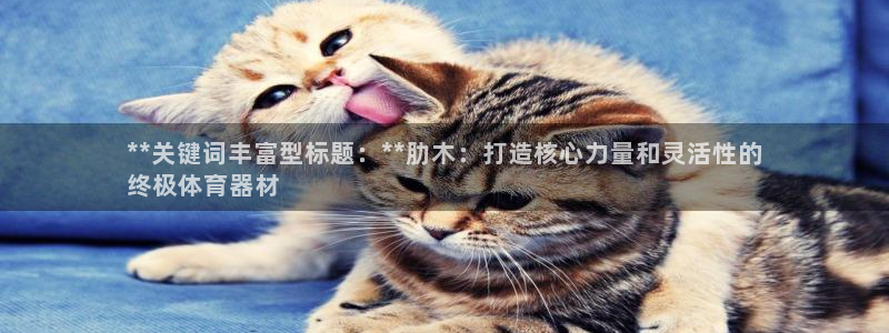 极悦娱乐app官方版本更新内容在哪：**关键词丰富型